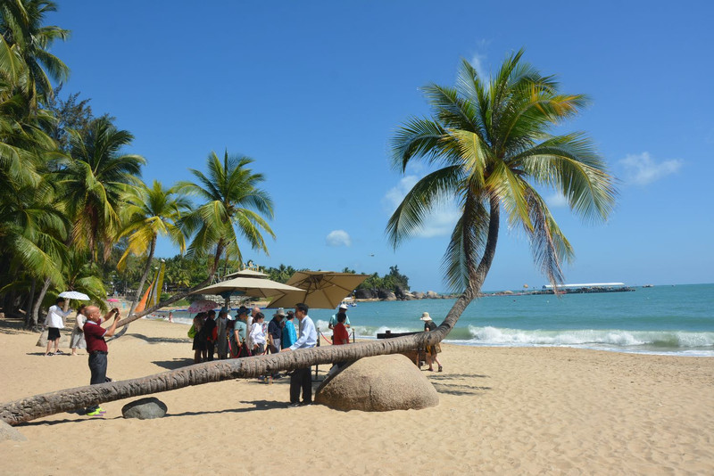 海南椰影海韵,沙滩风情演绎时光