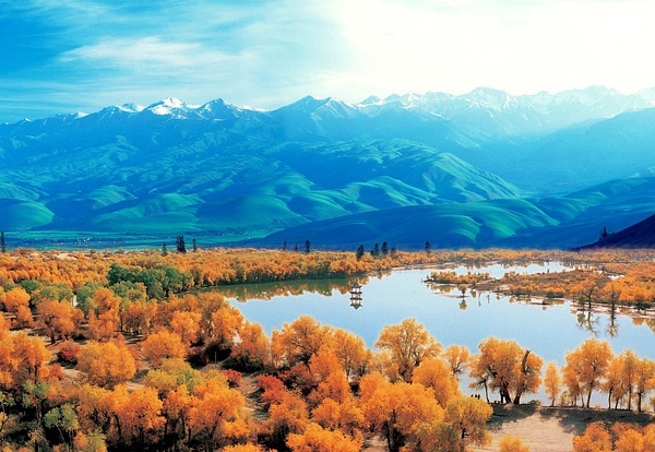 新疆的魅力与风情